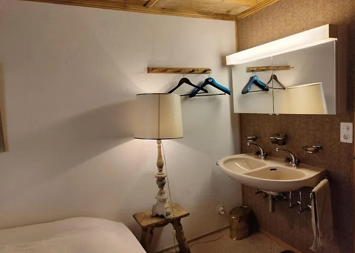 公寓 Charming In 达沃斯